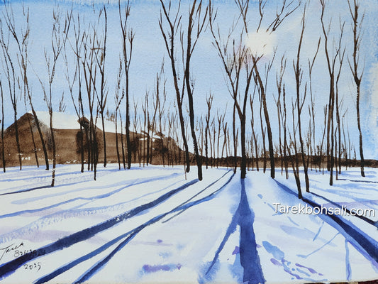 Domaine St Paul, Île-Des-Sœurs, Montréal