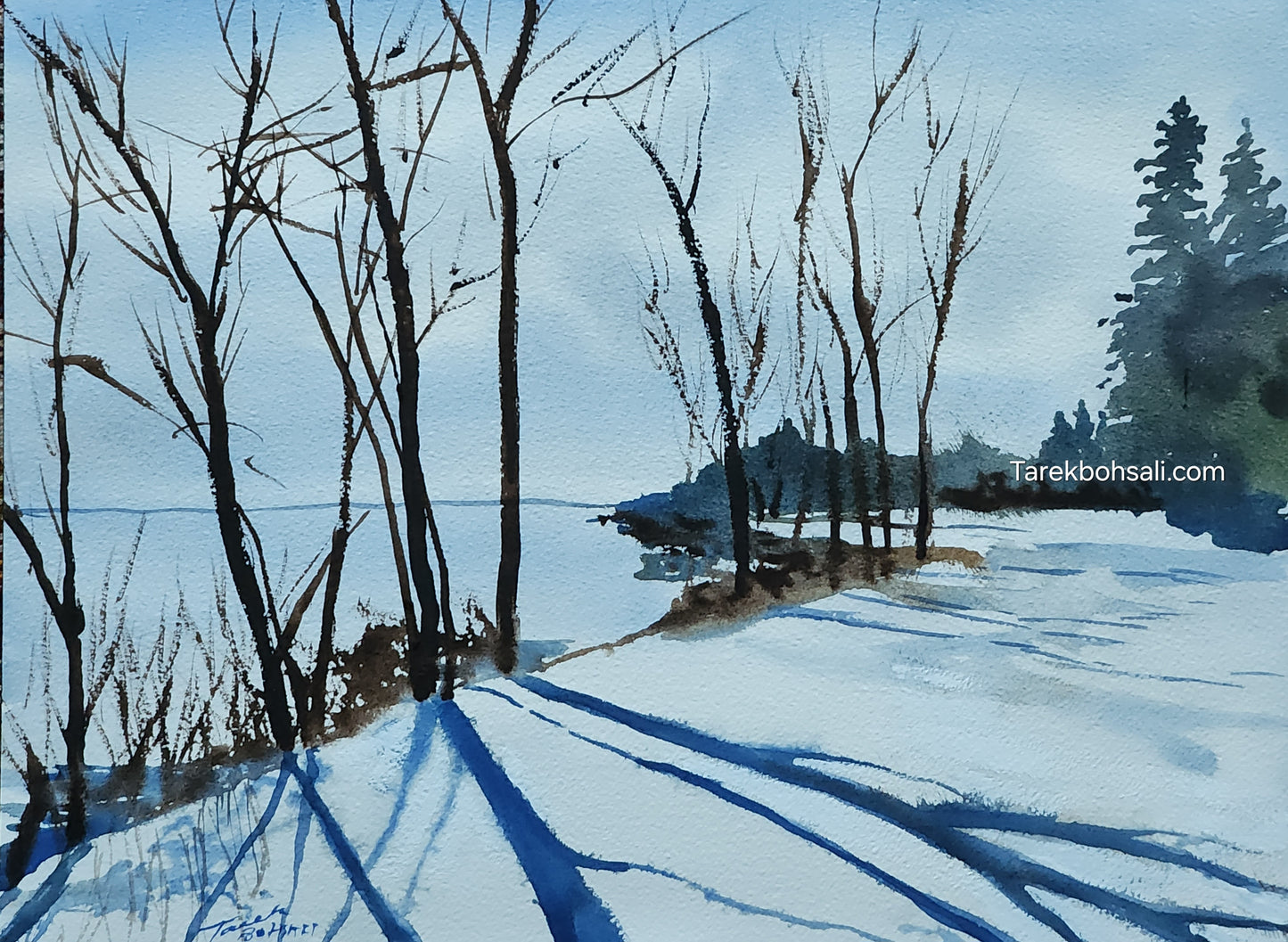 Snow in île des soeurs, montreal