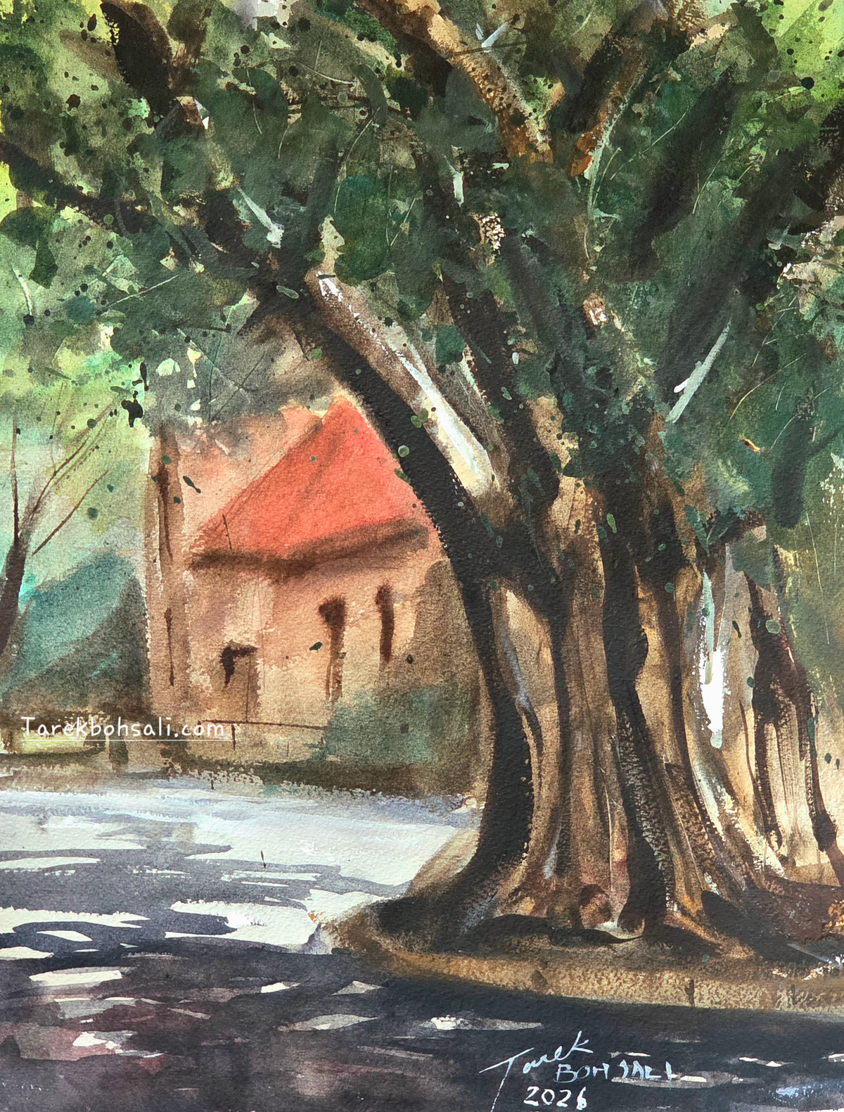 A special tree in AUB campus